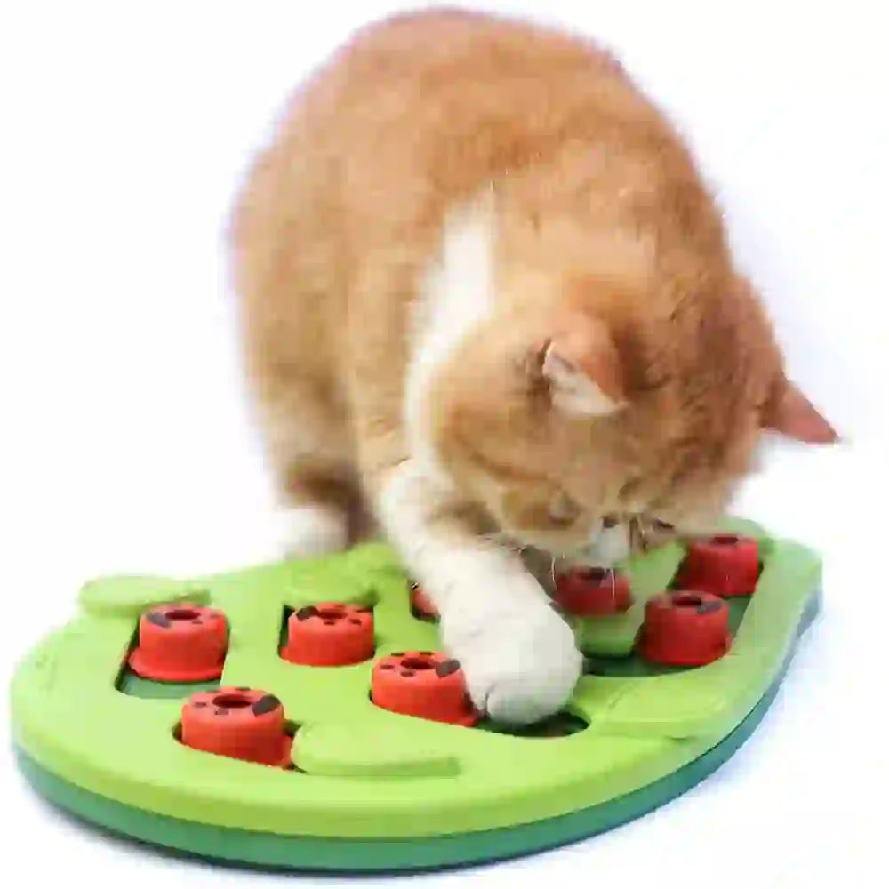 Adjustable Difficulty Puzzle Treat Toy for Cats