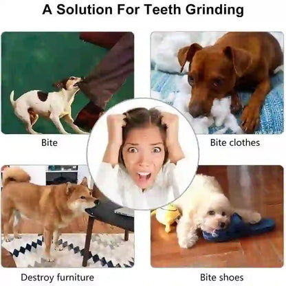 Interactive Dental Treat Chew Ball for Dogs