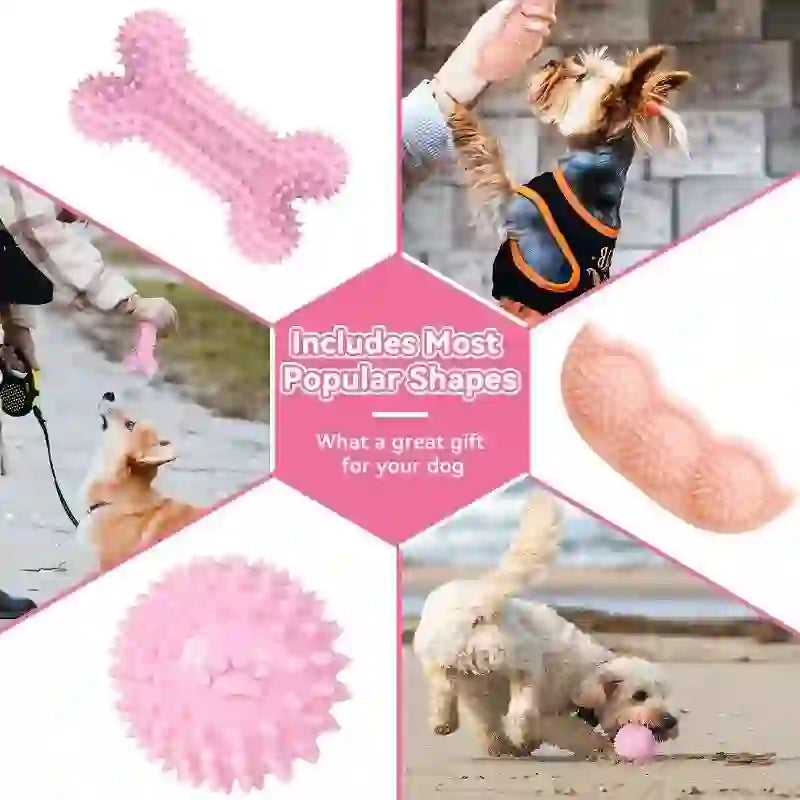 Interactive Dental Chew Toy Set for Dogs