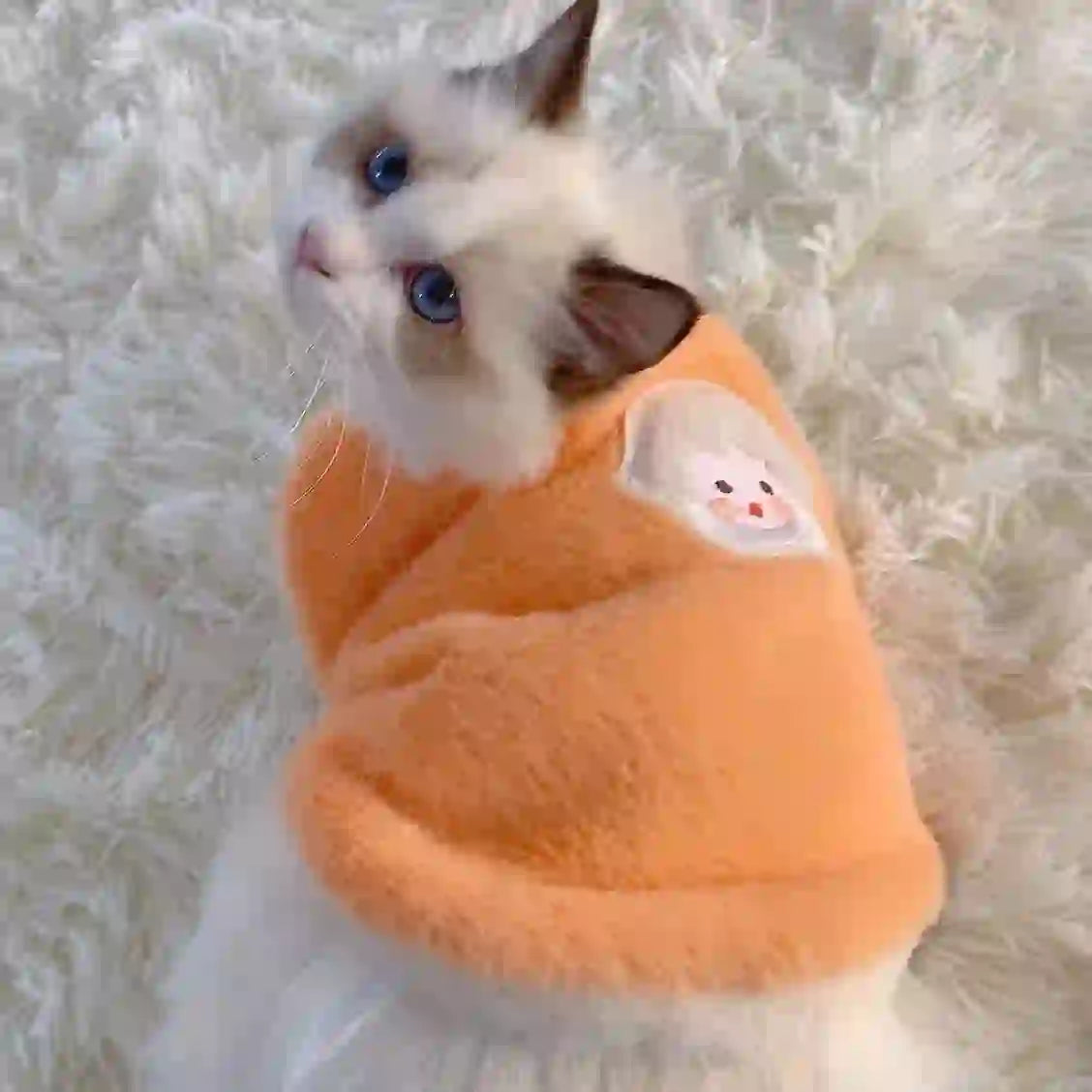Cozy pet Knit Winter Sweater for Dogs & Cats