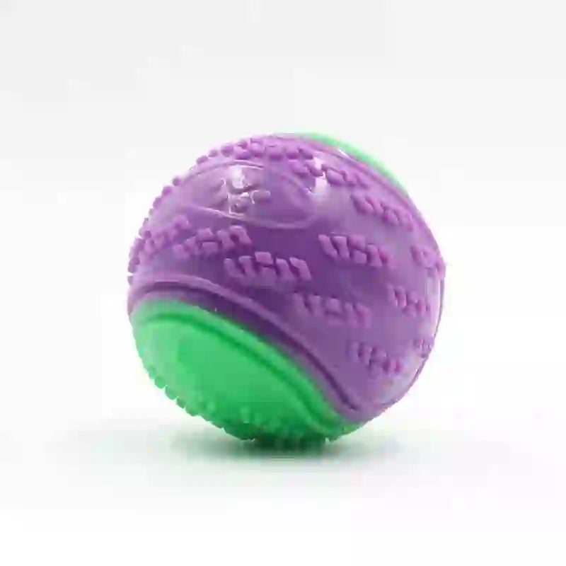 Squeaky Dental Chew Toy for Dogs & Pets