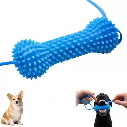 Dental Chew Rope & Treat Dispenser for Dogs