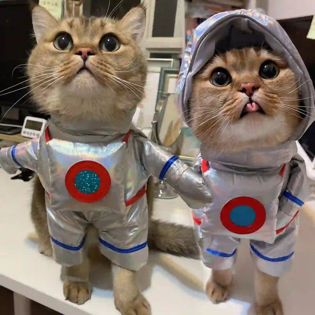 Pet Halloween Costume for Dogs & Cats