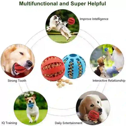 Interactive Dental Treat Chew Ball for Dogs