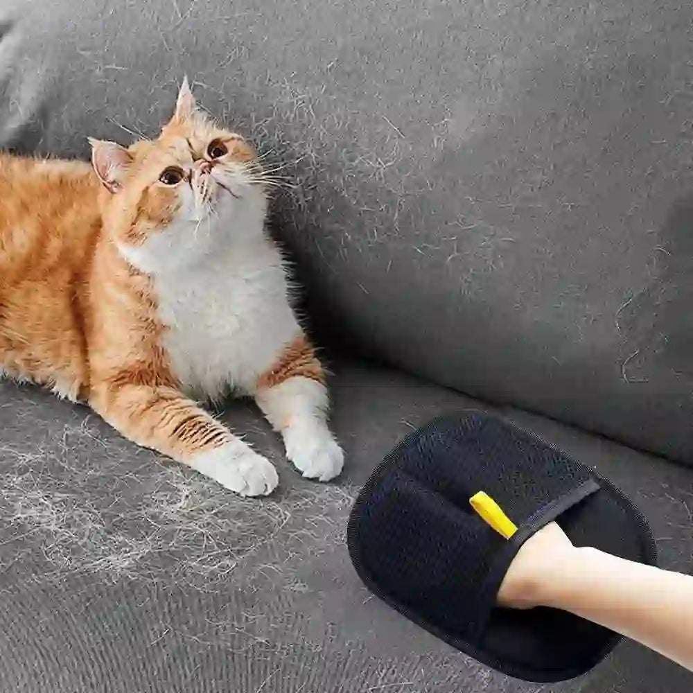 Portable Pet Hair Remover Glove