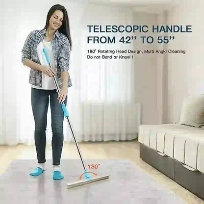 Telescopic Pet Hair Remover Rake