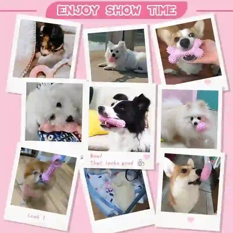 Interactive Dental Chew Toy Set for Dogs