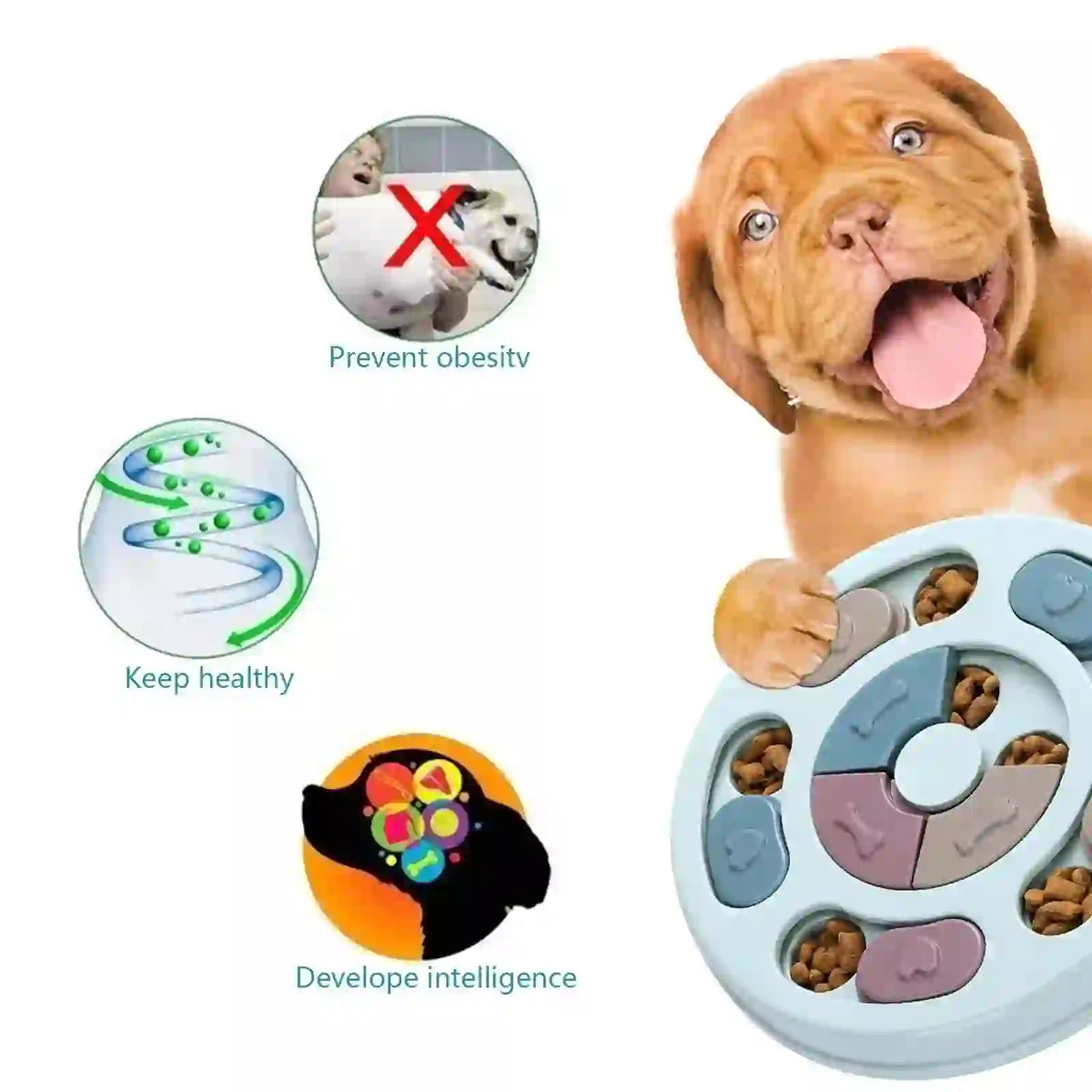 Interactive IQ Treat Puzzle Slow Feeder for Dogs