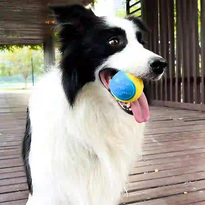 Squeaky Dental Chew Toy for Dogs & Pets