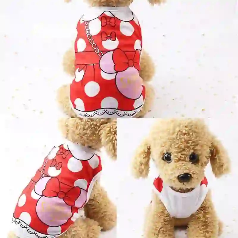 Small beige poodle puppy wearing a white pet vest with red accents, adorable and cozy for everyday wear