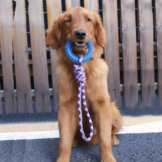 Interactive Dental Chew Ring for Dogs