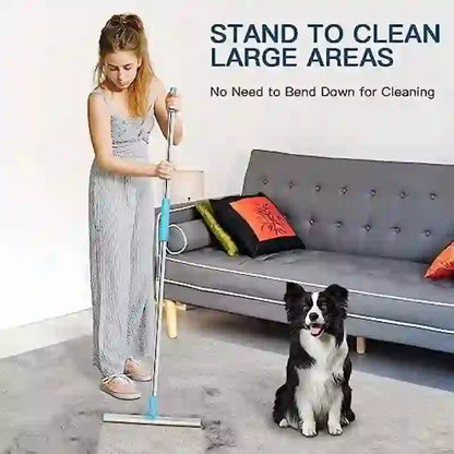 Telescopic Pet Hair Remover Rake