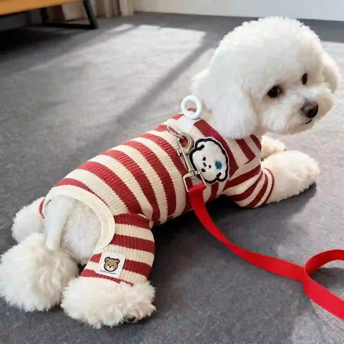 Cozy Striped Warm Sweater for Dogs & Puppies