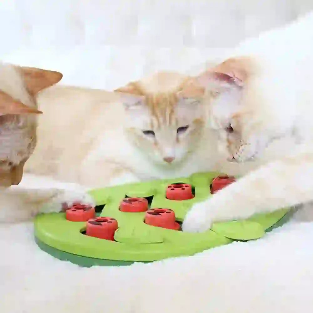 Adjustable Difficulty Puzzle Treat Toy for Cats
