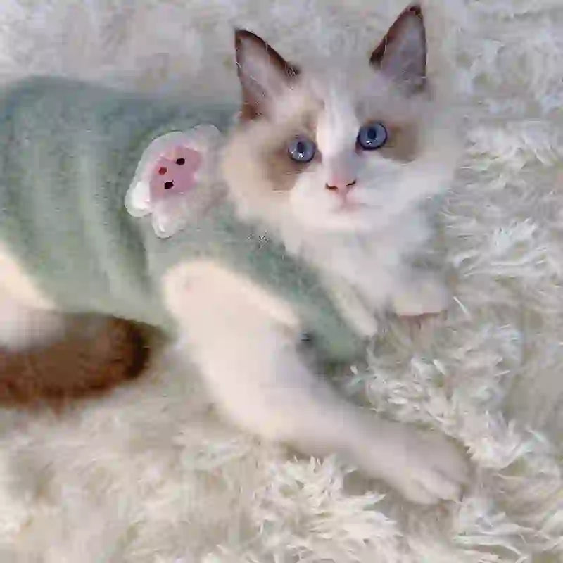 Cozy pet Knit Winter Sweater for Dogs & Cats