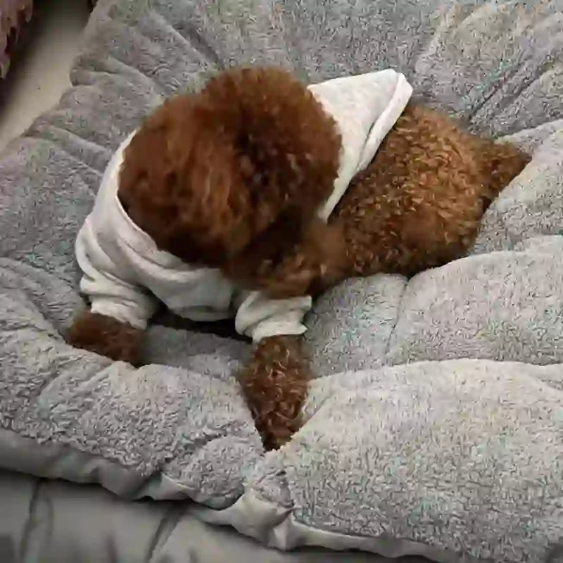 Extra Large Plush Sofa Bed for Dogs & Crates