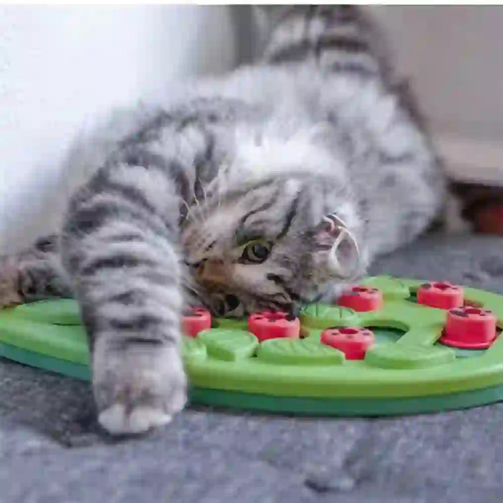 Adjustable Difficulty Puzzle Treat Toy for Cats
