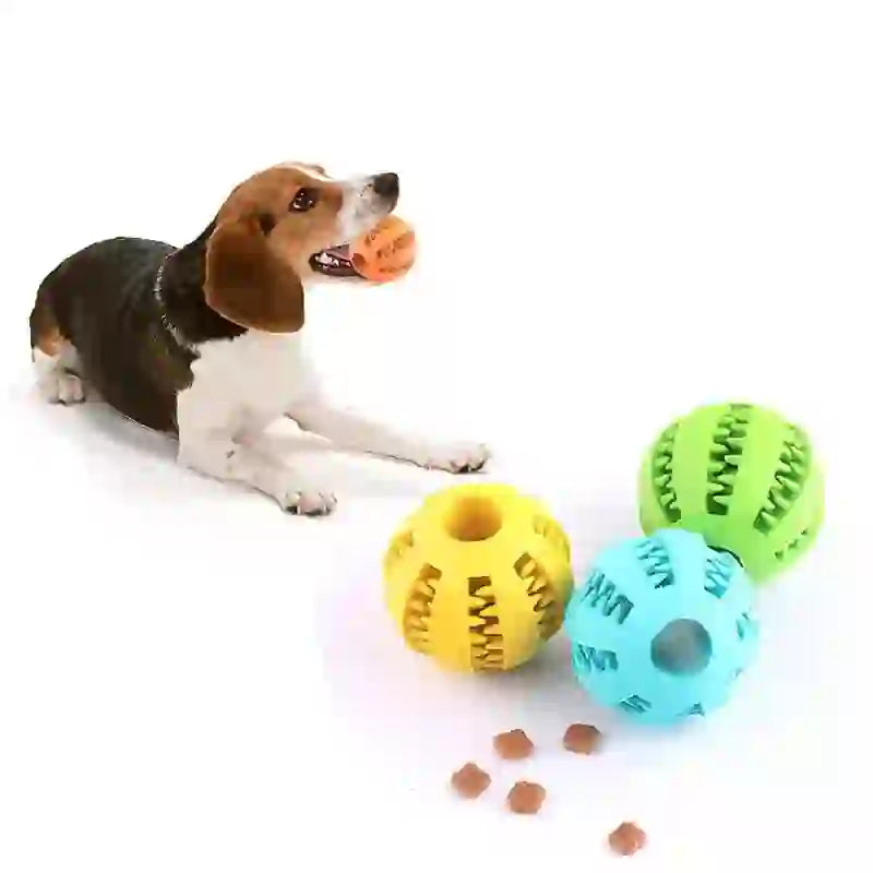 Interactive Dental Treat Chew Ball for Dogs