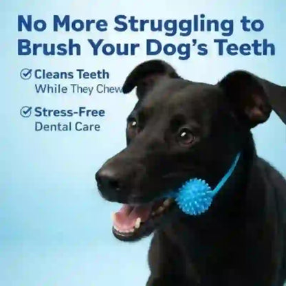 Dental Chew Rope & Treat Dispenser for Dogs