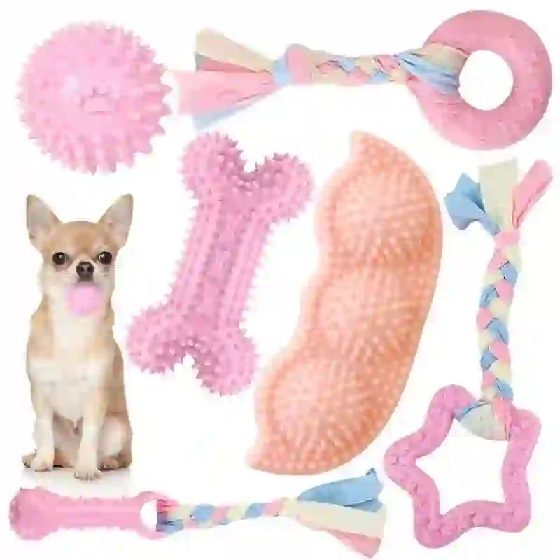 Interactive Dental Chew Toy Set for Dogs