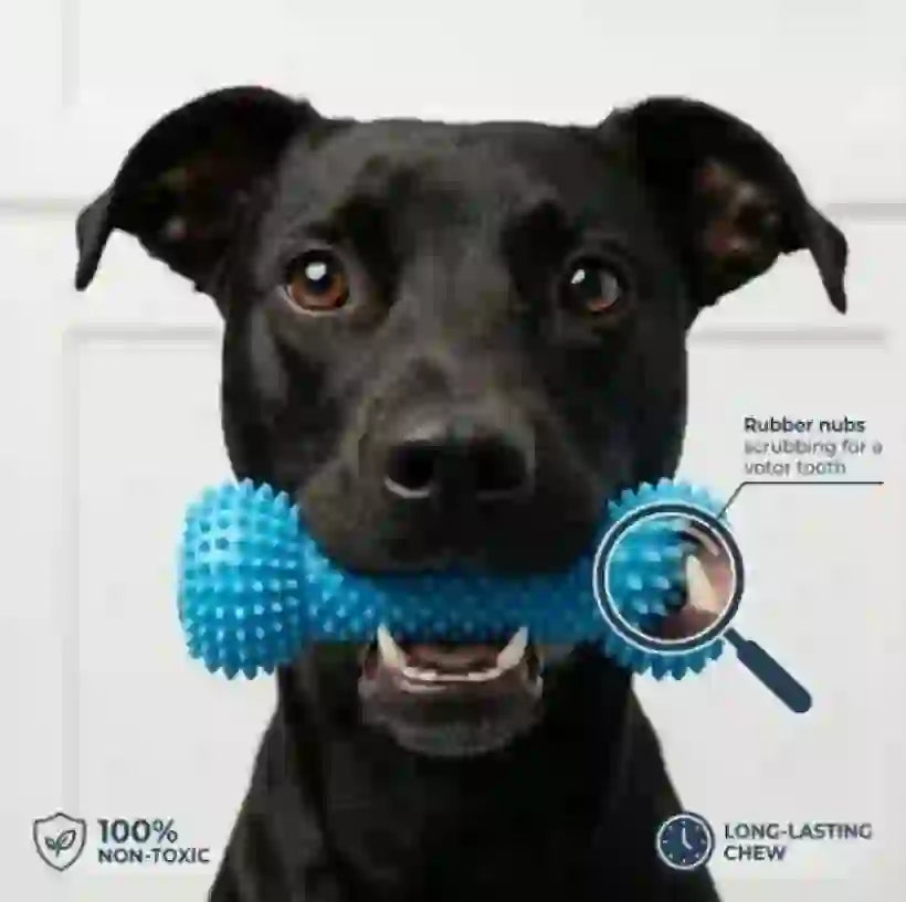 Dental Chew Rope & Treat Dispenser for Dogs