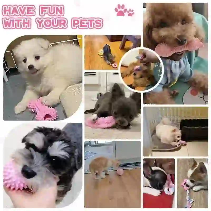 Interactive Dental Chew Toy Set for Dogs