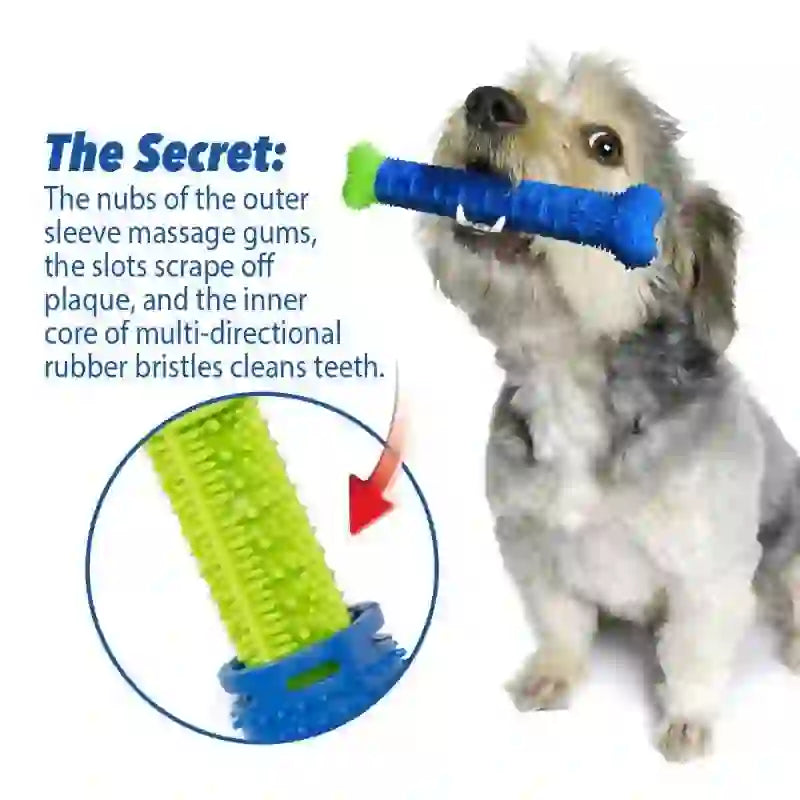 Rubber Dental Chew & Teeth Massager Rod for Dogs