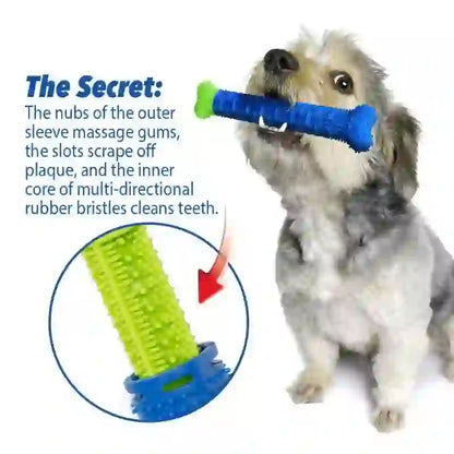 Rubber Dental Chew & Teeth Massager Rod for Dogs