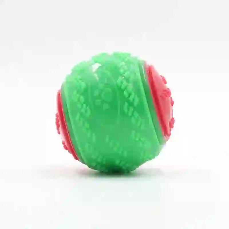 Squeaky Dental Chew Toy for Dogs & Pets