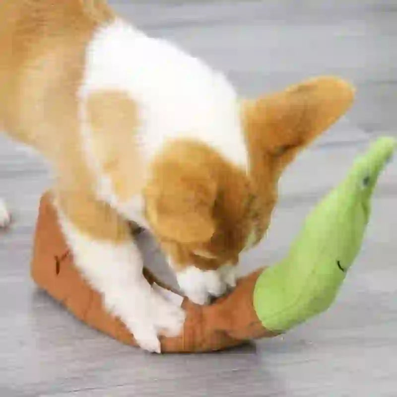 Snail Puzzle Sniffing Mat for Dogs & Cats