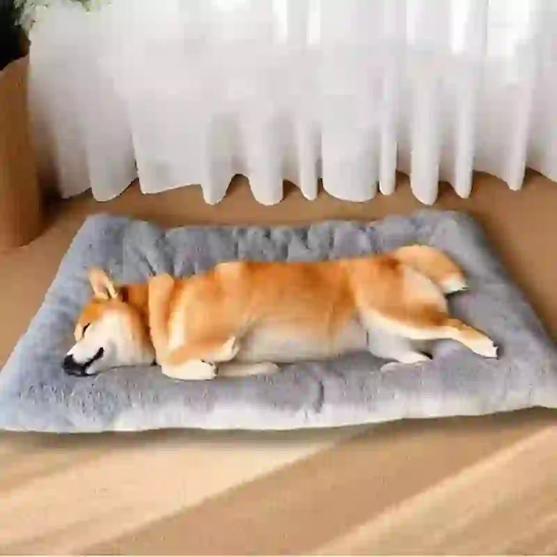 Extra Large Plush Sofa Bed for Dogs & Crates