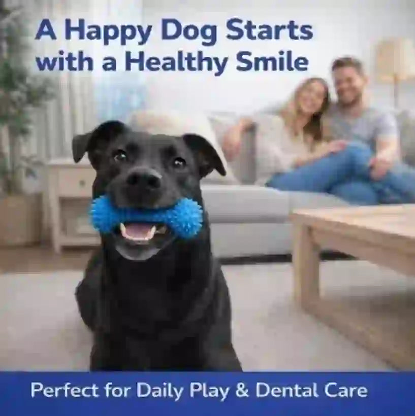 Dental Chew Rope & Treat Dispenser for Dogs